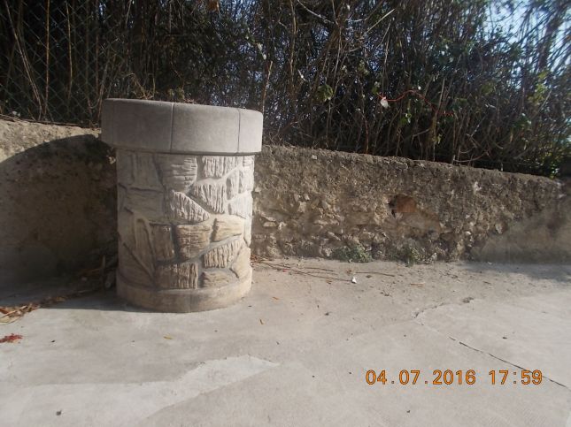 DSCN3015